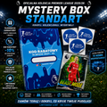 Karty Piłkarskie Mystery Box - Standard | Gwarantowana karta numerowana !